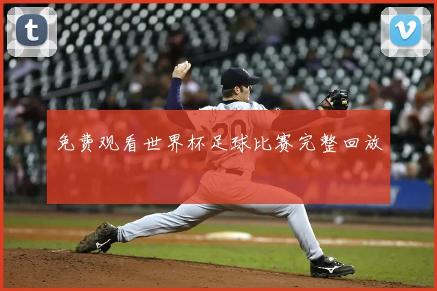 免费观看世界杯足球比赛完整回放